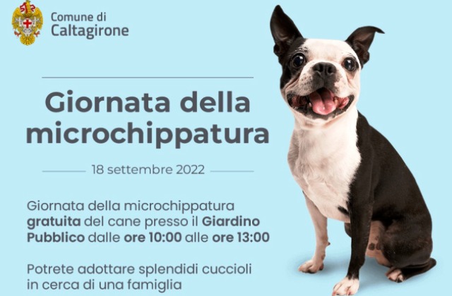 Caltagirone. Domenica 18 settembre, Villa comunale, Giornata della microchippatura gratuita del cane